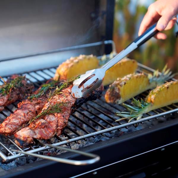 Barbecues charbon